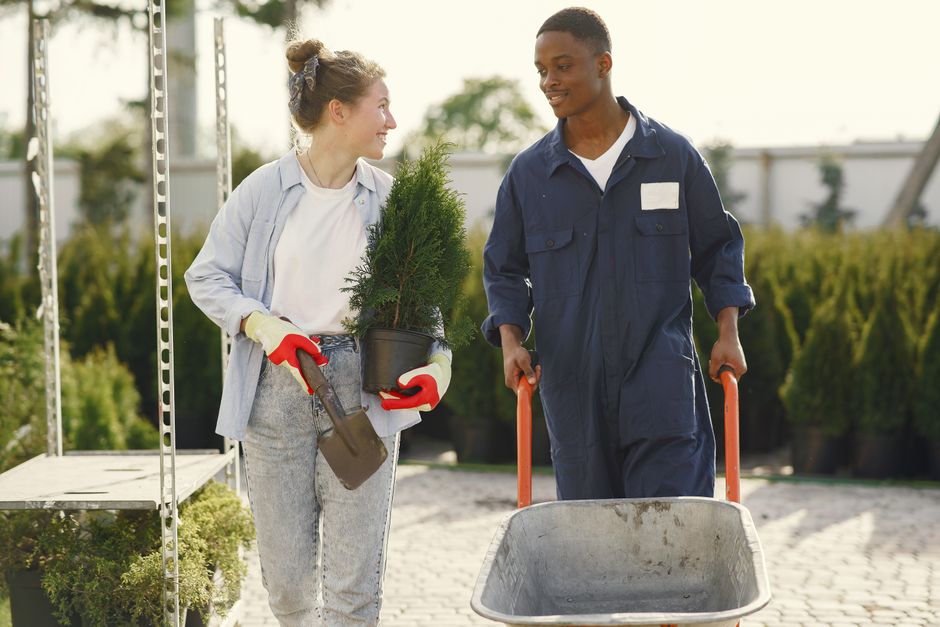 Landscaping